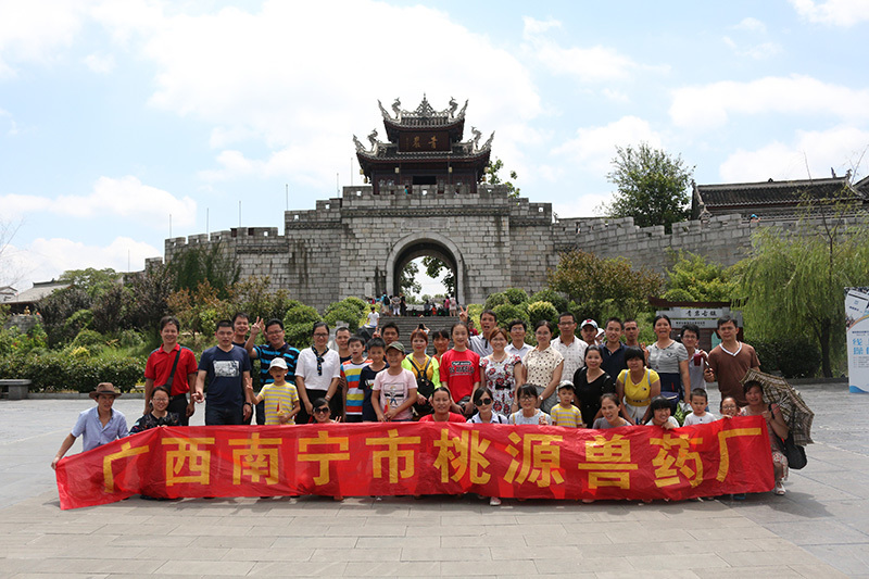 团队旅游 团队旅游